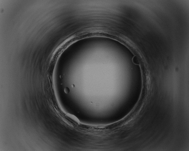 X0000051860782200507012339