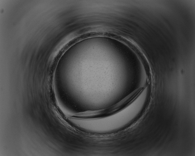 X0000051860783200507012339