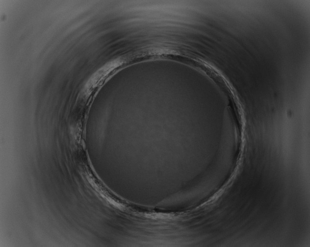 X0000051860785200507012339