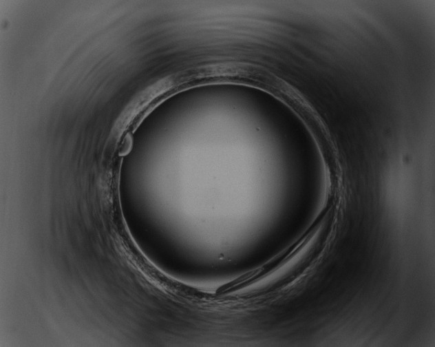 X0000051860786200507012339