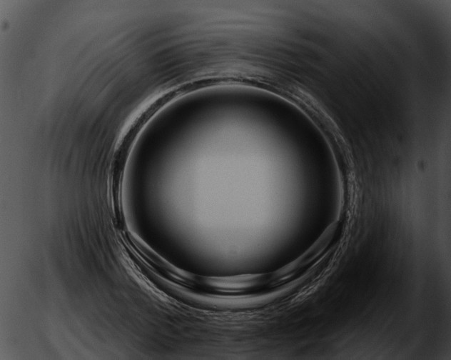 X0000051860788200507012339