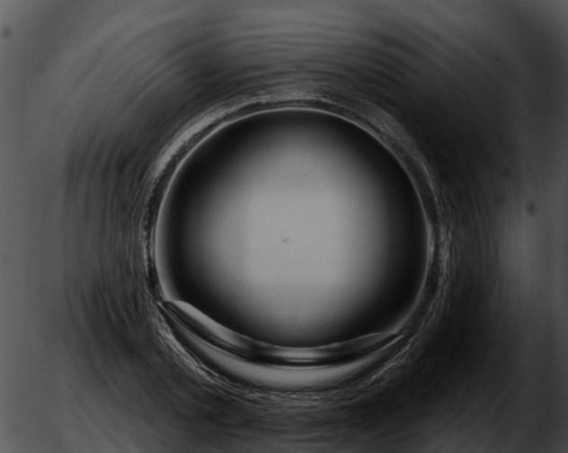 X0000051860789200507012339