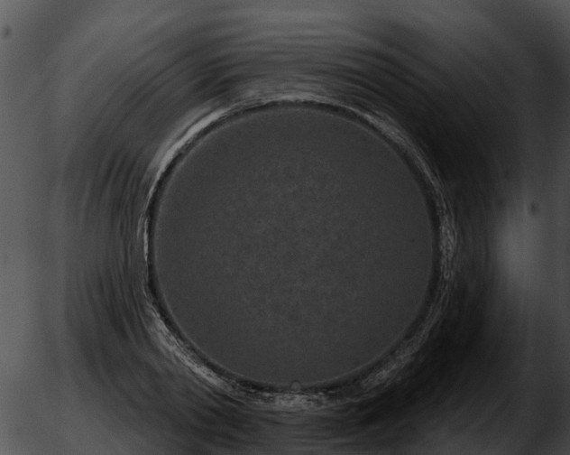 X0000051860790200507012339