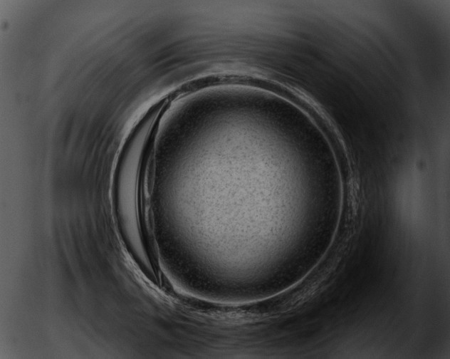 X0000051860791200507012339