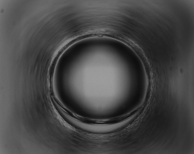 X0000051860792200507012339