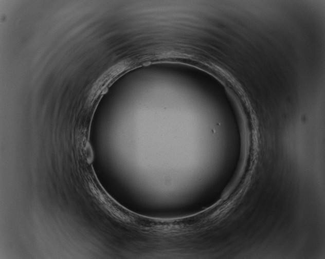 X0000051860793200507012339