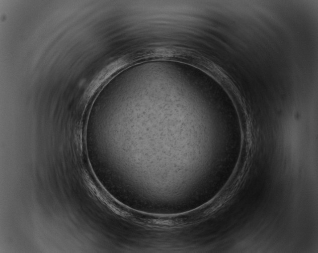 X0000051860794200507012339