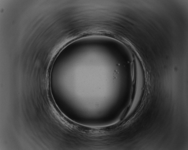 X0000051860795200507012339