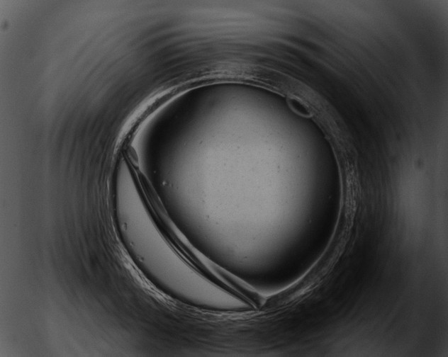 X0000051860796200507012339