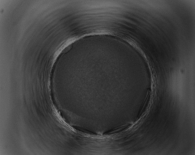 X0000051860797200507012339