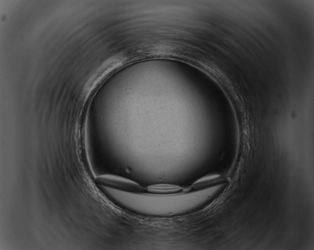 X0000051860798200507012339