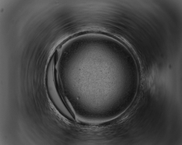 X0000051860799200507012339