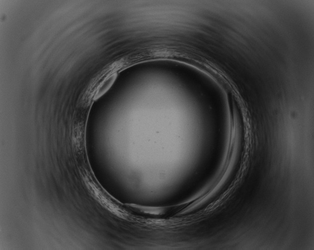 X0000051860801200507012339