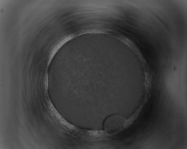 X0000051860804200507012339