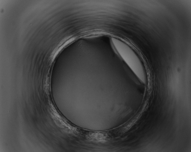 X0000051860806200507012339