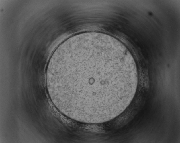 X0000051860807200507012339