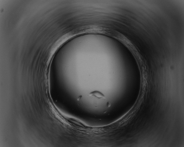 X0000051860808200507012339