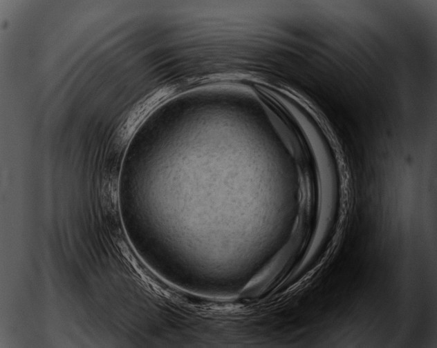 X0000051860809200507012339