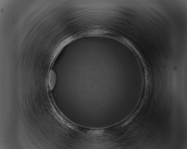 X0000051860810200507012339