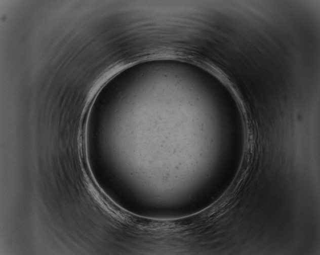 X0000051860811200507012339