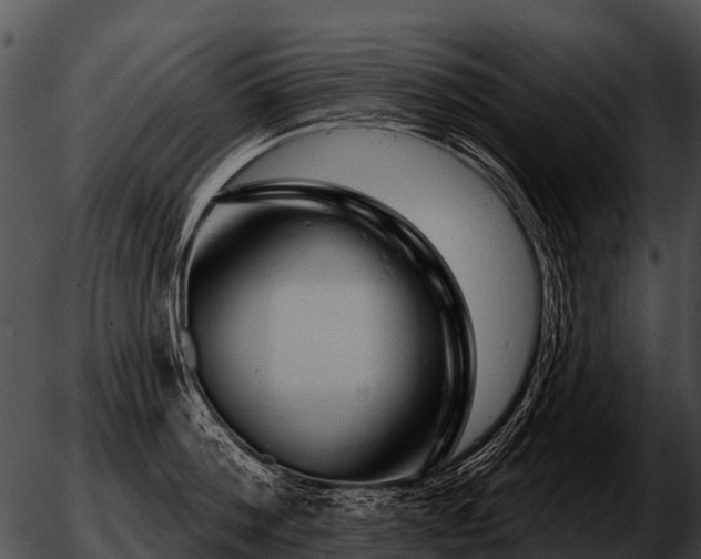 X0000051860812200507012339