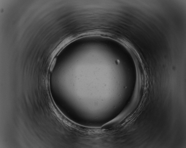 X0000051860813200507012339