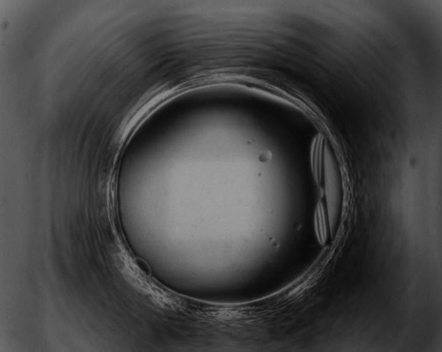 X0000051860814200507012339