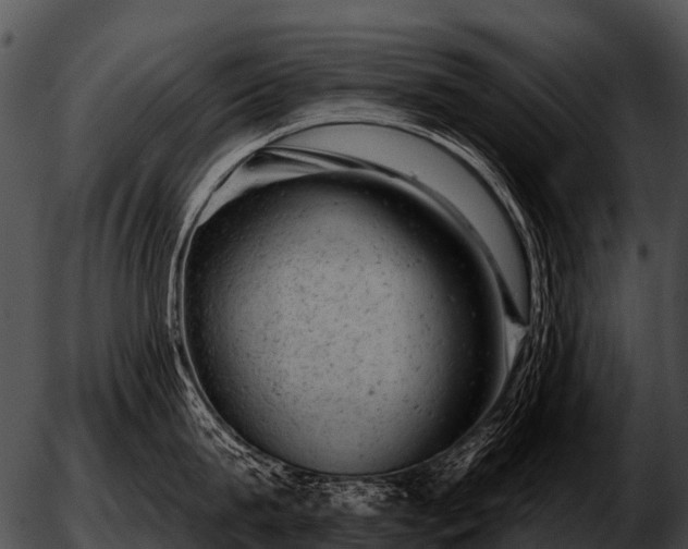 X0000051860815200507012339