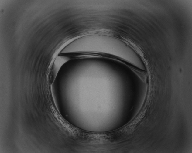 X0000051860816200507012339