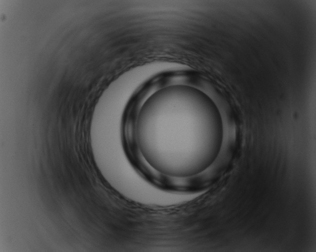 X0000051860818200507012338