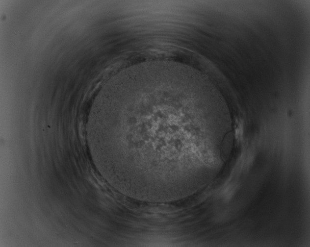 X0000051860819200507012338