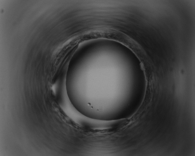 X0000051860822200507012338