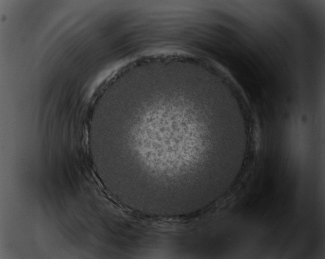 X0000051860823200507012338