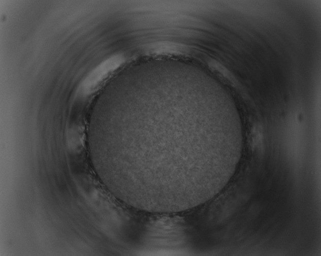 X0000051860824200507012338