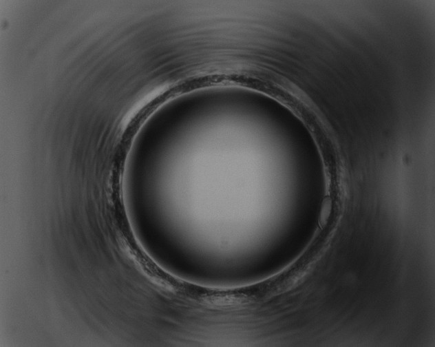 X0000051860826200507012338