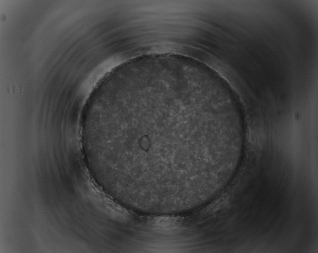 X0000051860832200507012338