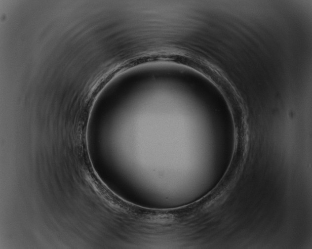 X0000051860833200507012338