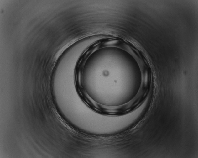 X0000051860834200507012338