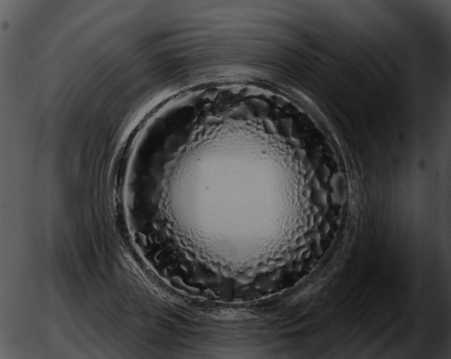 X0000051860835200507012338