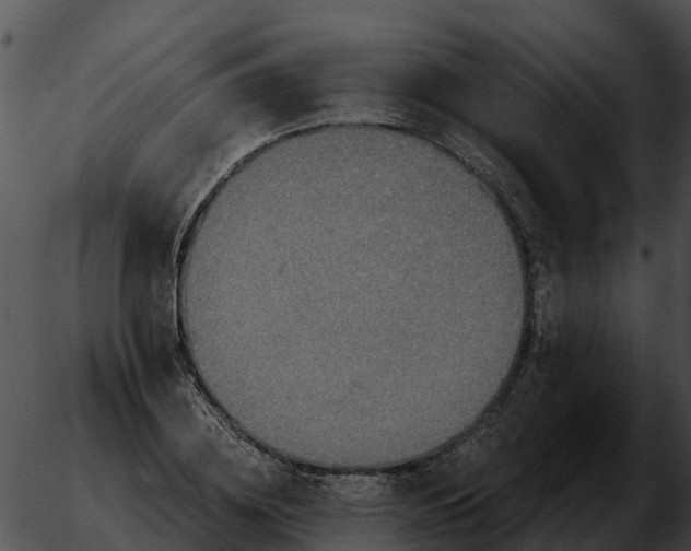 X0000051860836200507012338