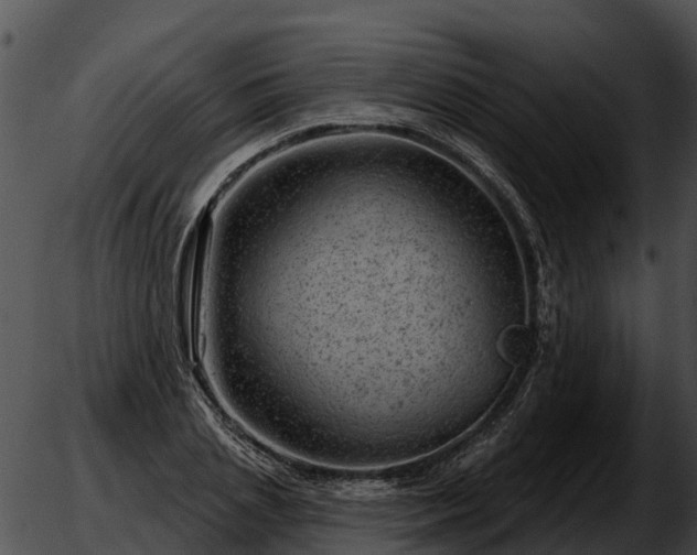 X0000051860837200507012338