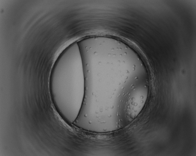 X0000051860839200507012338