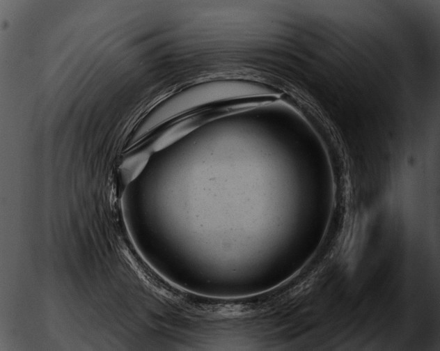 X0000051860841200507012338