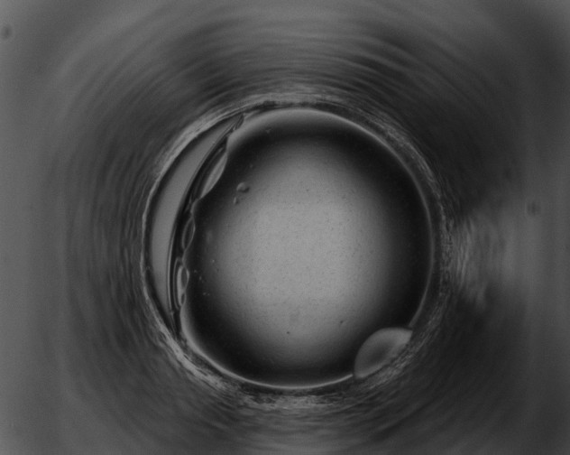 X0000051860845200507012338