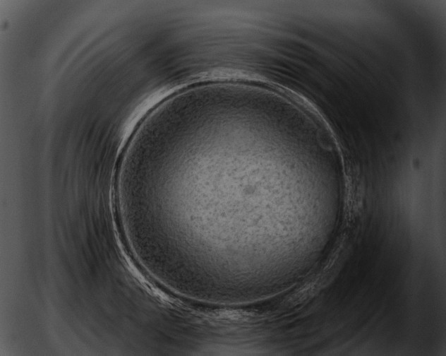 X0000051860847200507012338