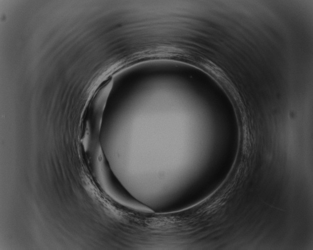 X0000051860850200507012338