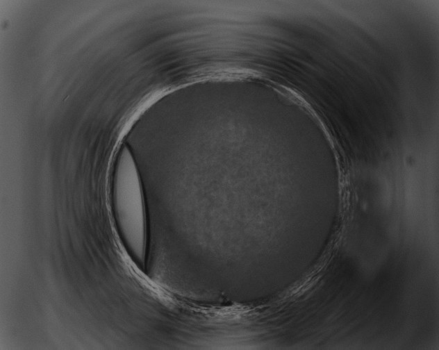 X0000051860851200507012339