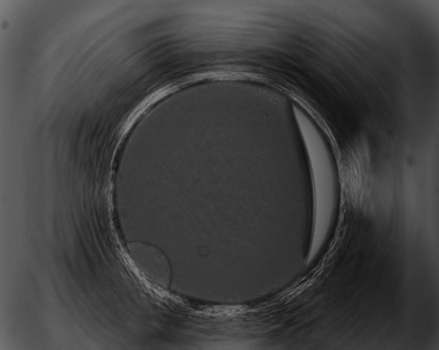 X0000051860853200507012339