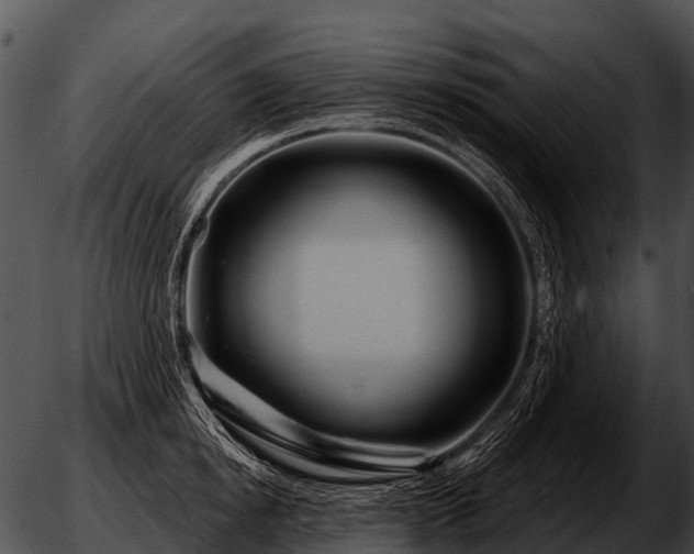 X0000051860854200507012339