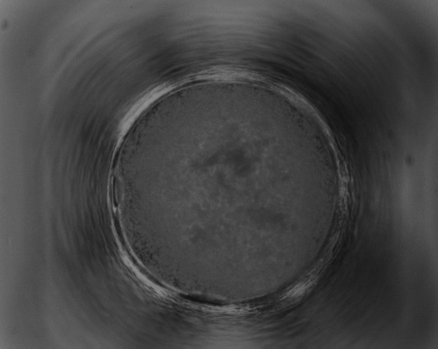 X0000051860855200507012339